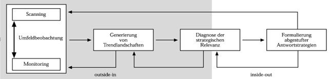 Prozessmodell der strategischen Fehlentwicklung.jpg